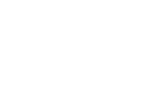 Runnymede Group of Companies