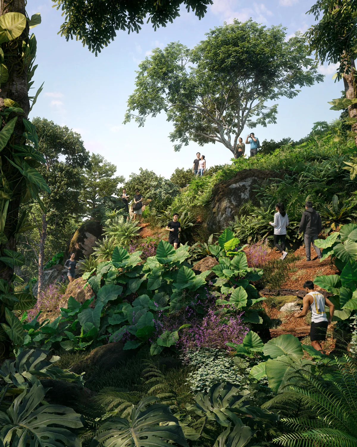 Rendering of the jungle trail through dense tropical planting