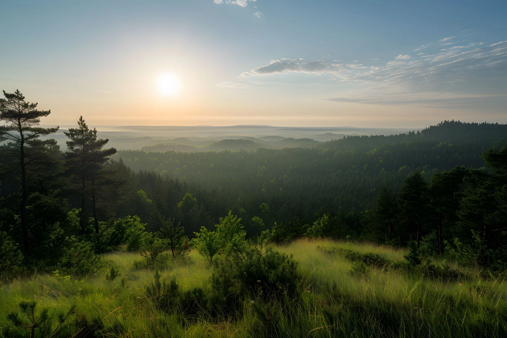 Sunrise over forested hills, mist lying in the valleys beyond